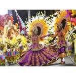 Экзотический Карнавал (Парад Чемпионов) в Бразилии 